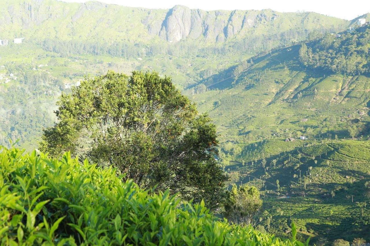 The Nirvana Resort Munnar